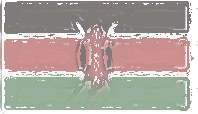 Kenya Flag