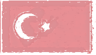 Turkey Flag