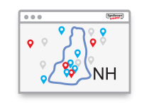 USA New Hampshire State Icon